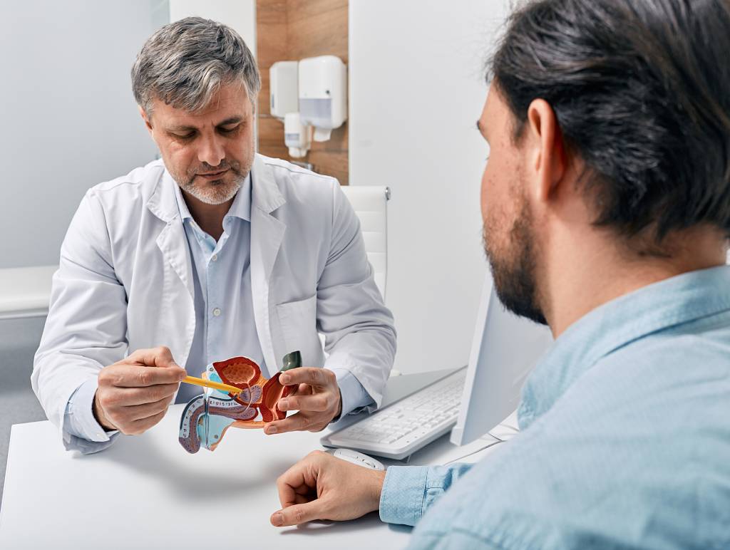 A physician explains prostate cancer to a patient using an anatomical model