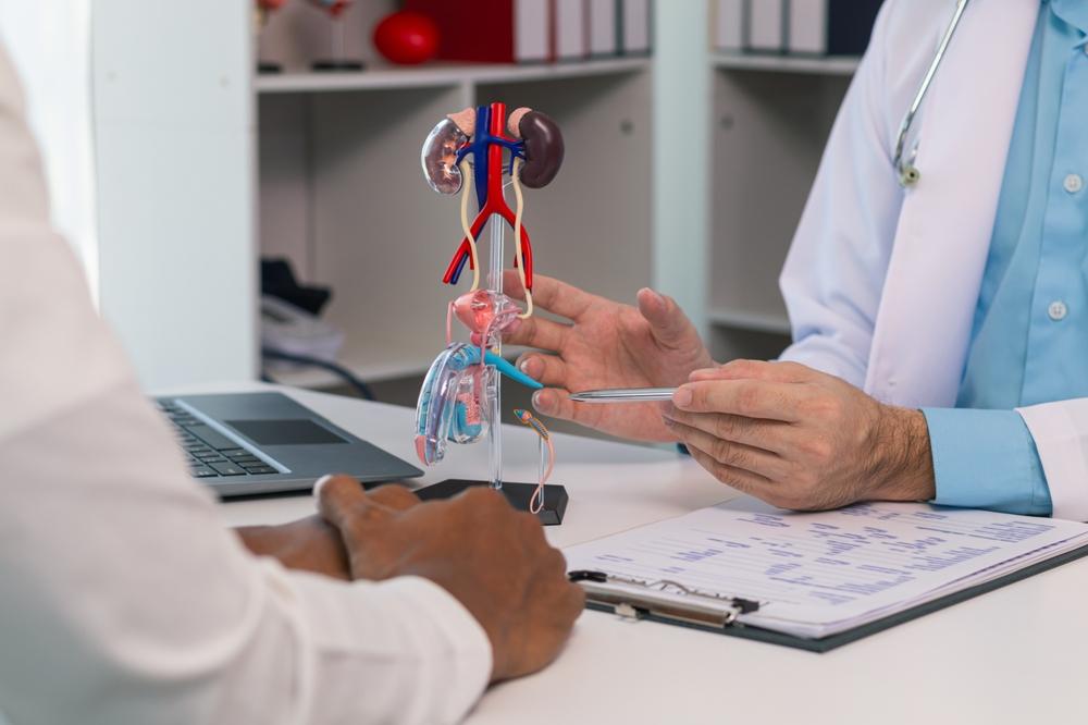 A prostate cancer specialist points to a model of the prostate gland.